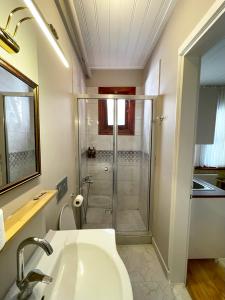 a bathroom with a shower and a white sink at Mimoza Guesthouse in Istanbul