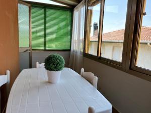 a white table with a plant on it in a room with windows at Casa Riotorto in Riotorto