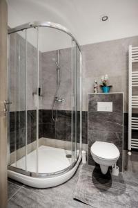 a bathroom with a shower and a toilet at Elegant Studio in Central Budapest in Budapest