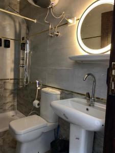 bagno con servizi igienici, lavandino e specchio di New Abdeen palace hostel a Il Cairo