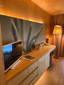 Sjónvarps- og/eða afþreyingartæki á Spa Hotel Zedern Klang