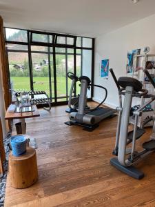 Líkamsræktarstöð og/eða líkamsræktaraðstaða á Spa Hotel Zedern Klang