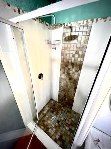 a shower with a glass door in a bathroom at Kruger River View in Marloth Park