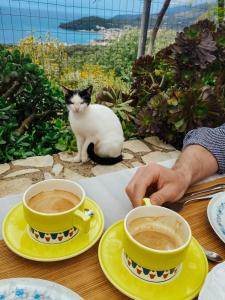 Domácí mazlíčci ubytovaní s hosty v ubytování ELÉA Guesthouse himare