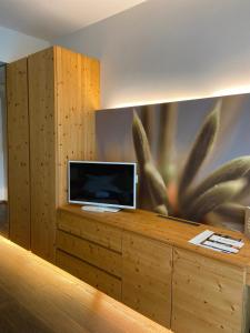 Sjónvarps- og/eða afþreyingartæki á Spa Hotel Zedern Klang
