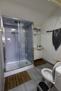 a bathroom with a shower with a toilet and a sink at Apartman Lastovicka in Stará Lesná