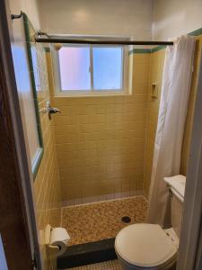 a bathroom with a toilet and a shower at Riviera Motel in Erie