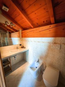 La salle de bains est pourvue de toilettes et d'un lavabo. dans l'établissement Mountain View Hideaway, à Ballabio