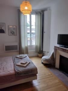 - un salon avec un lit et une cheminée dans l'établissement Studio Amboise centre historique, à Amboise