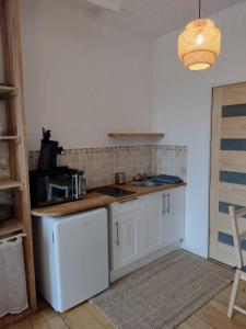 a kitchen with a white refrigerator and a stove at Studio Amboise centre historique in Amboise