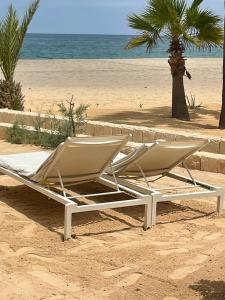 two lounge chairs sitting on the beach near the ocean at Villa Alfredo Marchetti Nº13 A Suites on the Beach, Praia de Chaves, Boa Vista in Cabeçadas