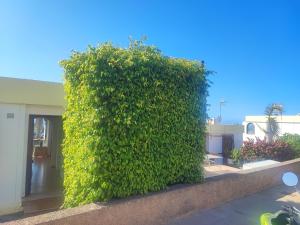 Zahrada ubytování Casa panorama 314 San Agustín Maspalomas