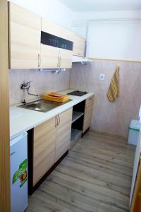 cocina pequeña con fregadero y fogones en APARTMÁNY SLAVIE/SEGA TROJANOVICE, en Trojanovice