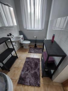 a bathroom with a sink and a toilet and a table at Penzion U Radnice in Doksy