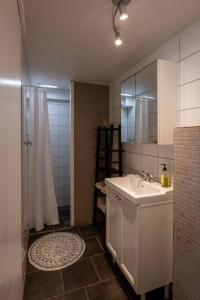 a bathroom with a sink and a shower with a mirror at Lovely one bedroom apartment in Hafnarfjordur in Hafnarfjördur