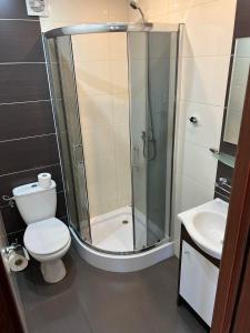 a bathroom with a shower and a toilet and a sink at Domki letniskowe u Krzysia in Jastrzębia Góra