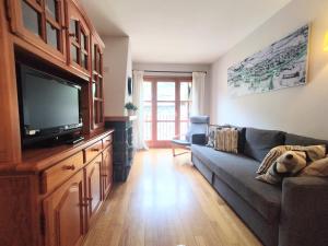 a living room with a couch and a flat screen tv at CHECK-IN CASAS Siñoantonio in Benasque