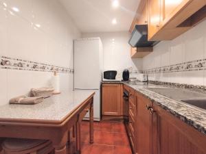 a kitchen with a counter top and a refrigerator at CHECK-IN CASAS Siñoantonio in Benasque