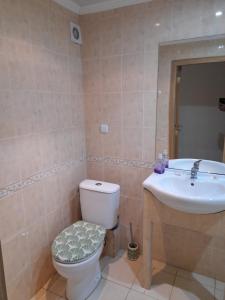 a bathroom with a toilet and a sink at Negresko Family Apartment in Elenite