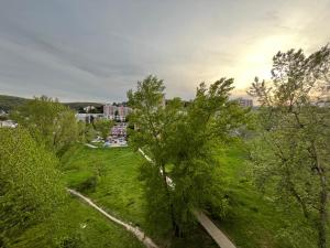 a tree in the middle of a green field at Elegant Escape apartment - free parking, easy access to City Centre in Bratislava