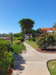 Zahrada ubytování Casa panorama 314 San Agustín Maspalomas