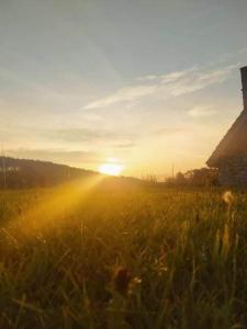 a field of grass with the sun setting in the background at Naruby Ubytování in Mařov u Úpice