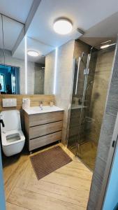 ein Badezimmer mit Toilette, Waschbecken und Dusche in der Unterkunft Home by the Lake nr 8 in Sibiu