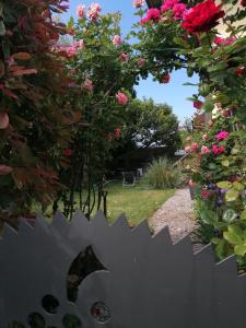Um jardim no exterior de B&B 7e Art