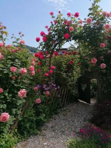 Um jardim no exterior de B&B 7e Art