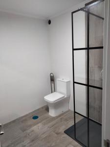 a bathroom with a toilet and a glass shower at Pedra de Corvos in Fisterra +26 photos