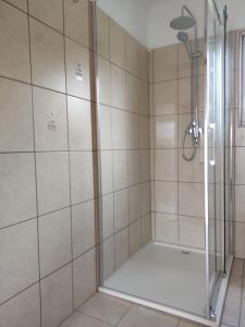 a shower with a glass door in a bathroom at Apartman Car in Vir +20 photos