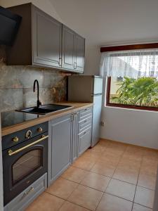 a kitchen with stainless steel appliances and a window at Apartman Car in Vir