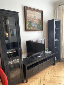 salon z telewizorem i czarnym centrum rozrywki w obiekcie Apartments & Restaurant Tkalcovsky dvur w Pradze