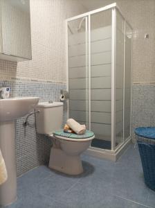 a bathroom with a toilet and a shower and a sink at Ferrara playa in Torrox Costa