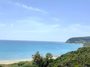 a view of a beach with the ocean in the background at Daphnes Apartments in Ratzaklíon