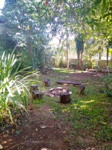 un parco con tronchi e un tavolo da picnic nell'erba di Casa dos Buritis-no centro turístico a Alto Paraíso de Goiás