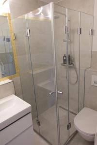 a shower stall in a bathroom with a toilet at Marc‘s Rooms in Munich