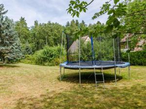 a trampoline in the middle of a yard at Apartament Vip Marysieńka in Kąty Rybackie