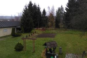 a group of birds standing in a yard at Maciejówka House with a view in Jelenia Góra