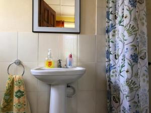 a bathroom with a sink and a mirror and a shower curtain at Nat’s place in Treasure Beach