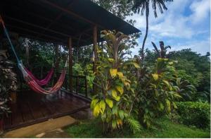 a porch of a house with a hammock on it at Vista Alta Ecolodge Bahia Drake in Drake