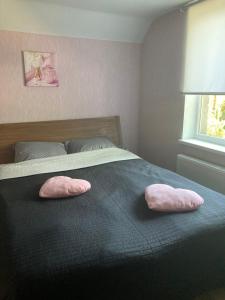 2 rosa Kissen auf einem schwarzen Bett mit Fenster in der Unterkunft Dzìvoklis pie jùras in Ventspils