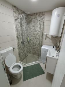 a bathroom with a shower and a toilet and a sink at Apartment Eight - Pirot in Pirot