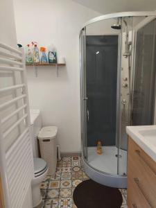 La salle de bains est pourvue d'une douche, de toilettes et d'un lavabo. dans l'établissement Maisonnette avec terrasse privative, à La Ciotat