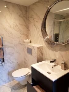 a bathroom with a toilet and a sink and a mirror at The Queens Head, Parkside Apartment 5 in Burley in Wharfedale +6 photos