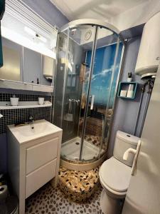 a bathroom with a shower and a toilet at Vue Mer\Plage\Parking Gratuit\wifi in Le Barcarès