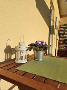 a table with a lantern and a potted plant on it at Studio Ivona in Poreč +9 photos