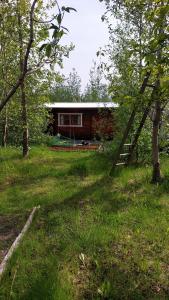 Vrt ispred objekta Bakkakot 1 - Cozy Cabins in the Woods