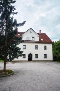 a large white house with a large driveway at Matic Spacious Modern Apartment in Ljubljana