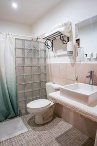 La salle de bains est pourvue de toilettes et d'un lavabo. dans l'établissement Hotel Boutique Mosaico, à Granada